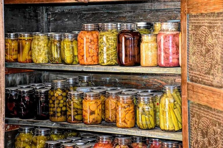 What Does It Mean to Have a Modern Homestead?